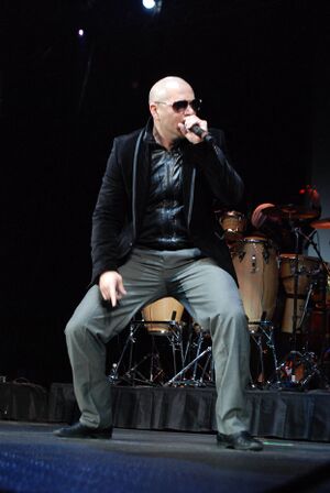 Pitbull Энциклопедия Руниверсалис 